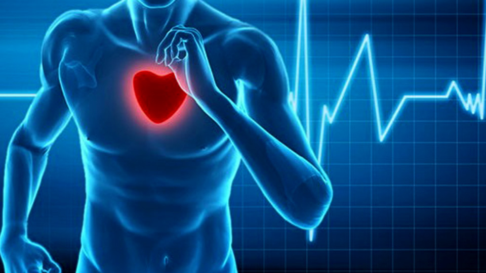 کارگاه تجویز تمرین برای بیماران قلبی